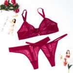 3-piece tiefem V 1bra + 2 tanga spitze unterwäsche transparent ungefüttert weiche bh set – Bild 4