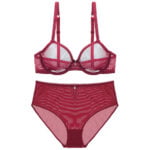 Sexy Transparent Unterwäsche Transparent High-Taille Slips Garn BH Und Panty plus größe Set – Bild 5