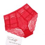 frauen sexy high-rise lace briefs hohl unterwäsche hohe elastizität komfortable höschen – Bild 5