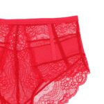 frauen sexy high-rise lace briefs hohl unterwäsche hohe elastizität komfortable höschen – Bild 6