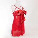 Schlafkleid mit Schleifen-Detail & Spitzen-Applikationen | 2-teiliges Dessous-Set in transparent | Damen-Nightdress mit String – Bild 7