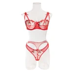 Dessous Set Stickerei Mesh Transparenter BH Tanga Schleife Rot Zweiteiler – Bild 5