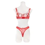 Dessous Set Stickerei Mesh Transparenter BH Tanga Schleife Rot Zweiteiler – Bild 6